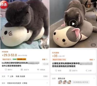 貓貓也用情趣用品？這屆鏟屎官太野了！探索寵物用品的邊界